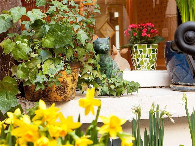 Hotel D'Albion Παρίσι Εξωτερικό φωτογραφία